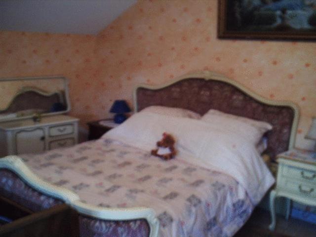 Chez Joséphine Bed and Breakfast Metting Habitación foto